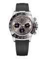 Seikona Sahara Oysterflex